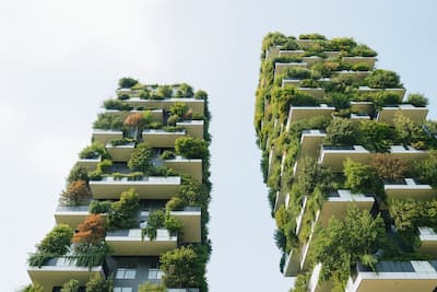 Schematyczna ilustracja balkonów z zielenią